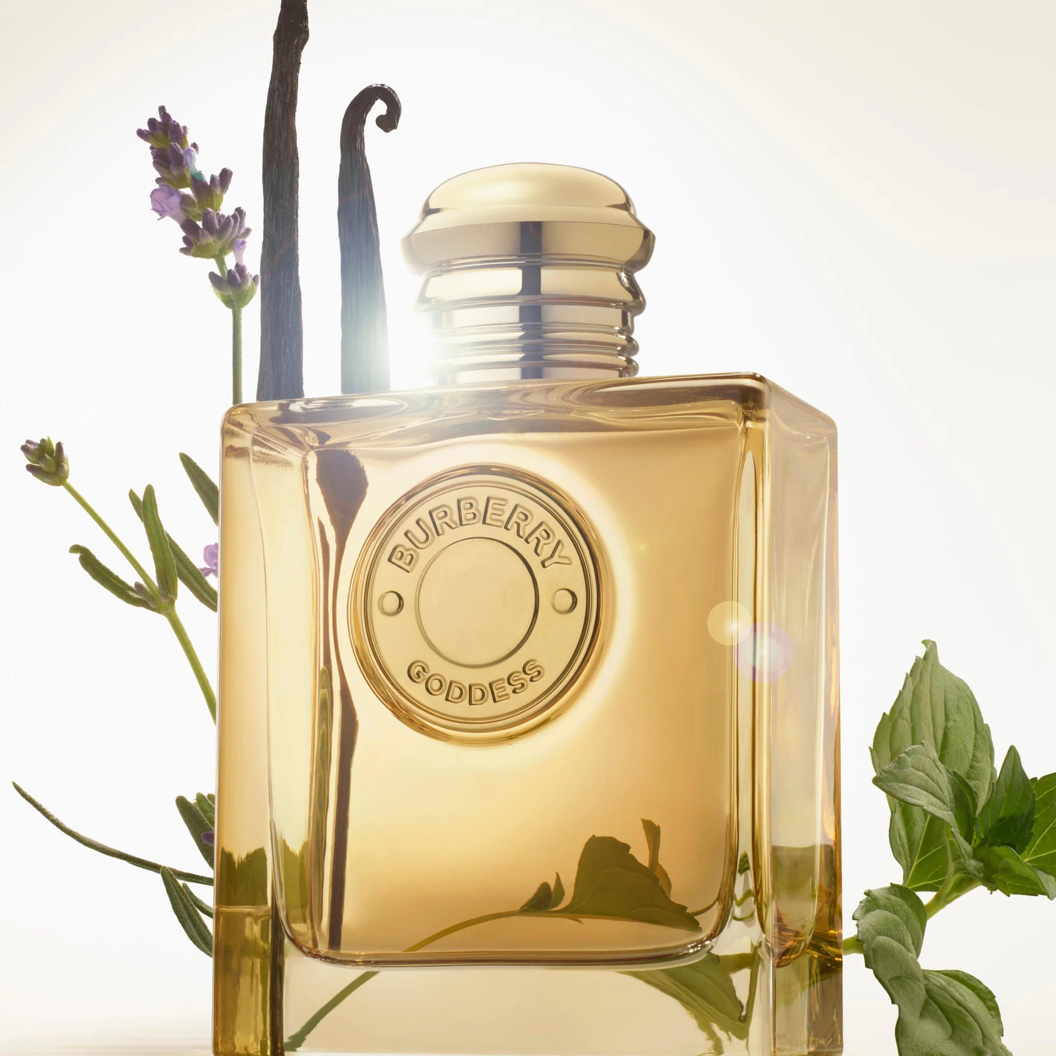 Burberry Goddess Edp Intense 50Ml - Image 3