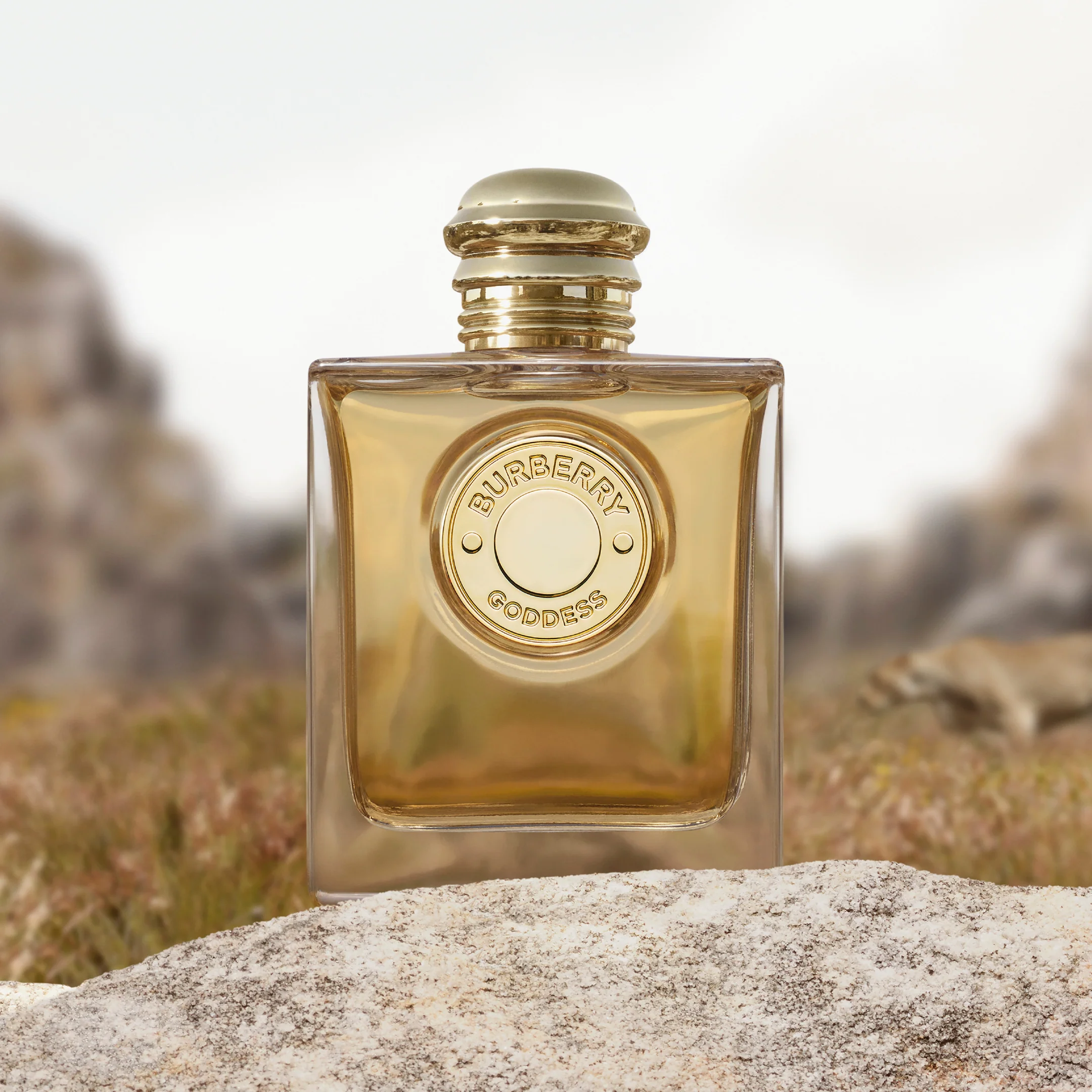 Burberry Goddess Edp Intense 50Ml - Image 4