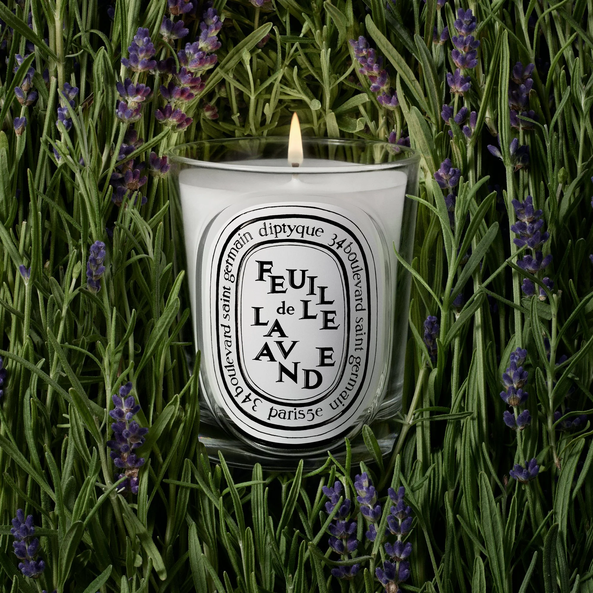 Feuille de Lavande (Lavender Leaf) Classic Candle - Image 3