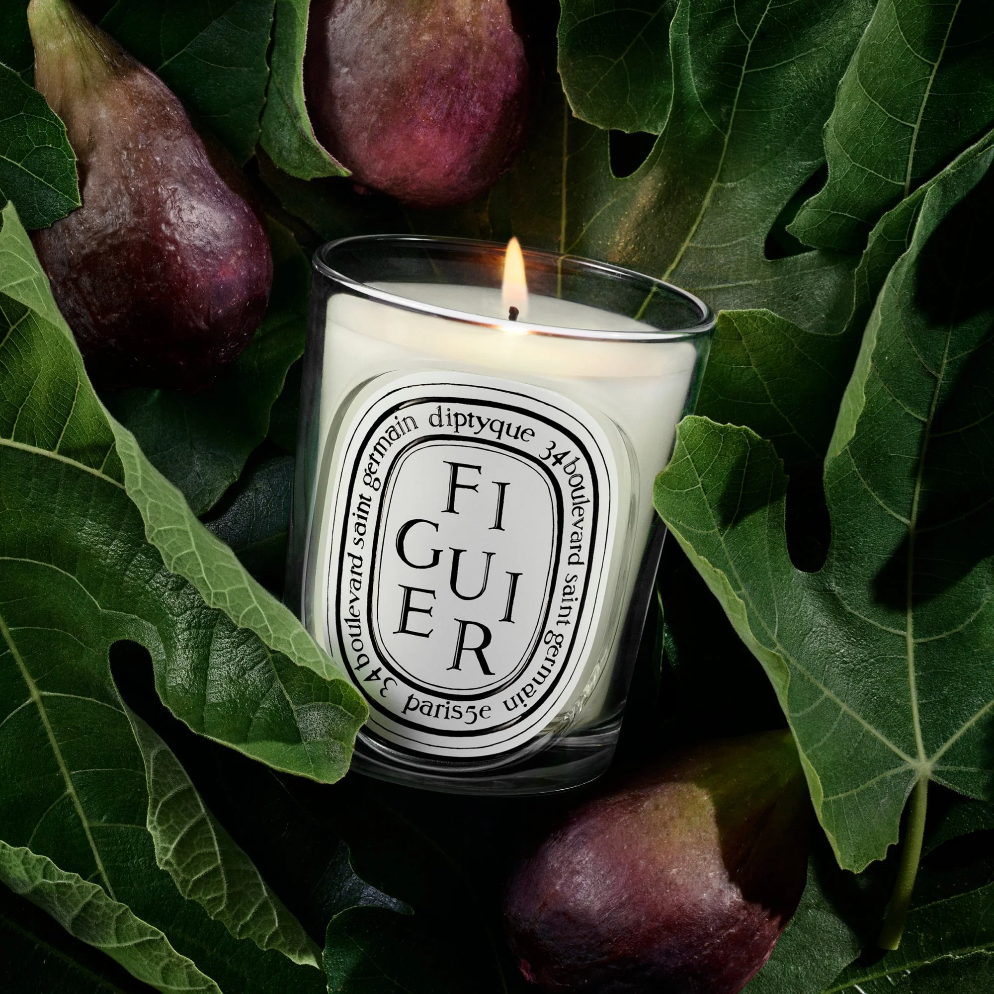 Figuier (Fig Tree) Scented Candle - Image 4
