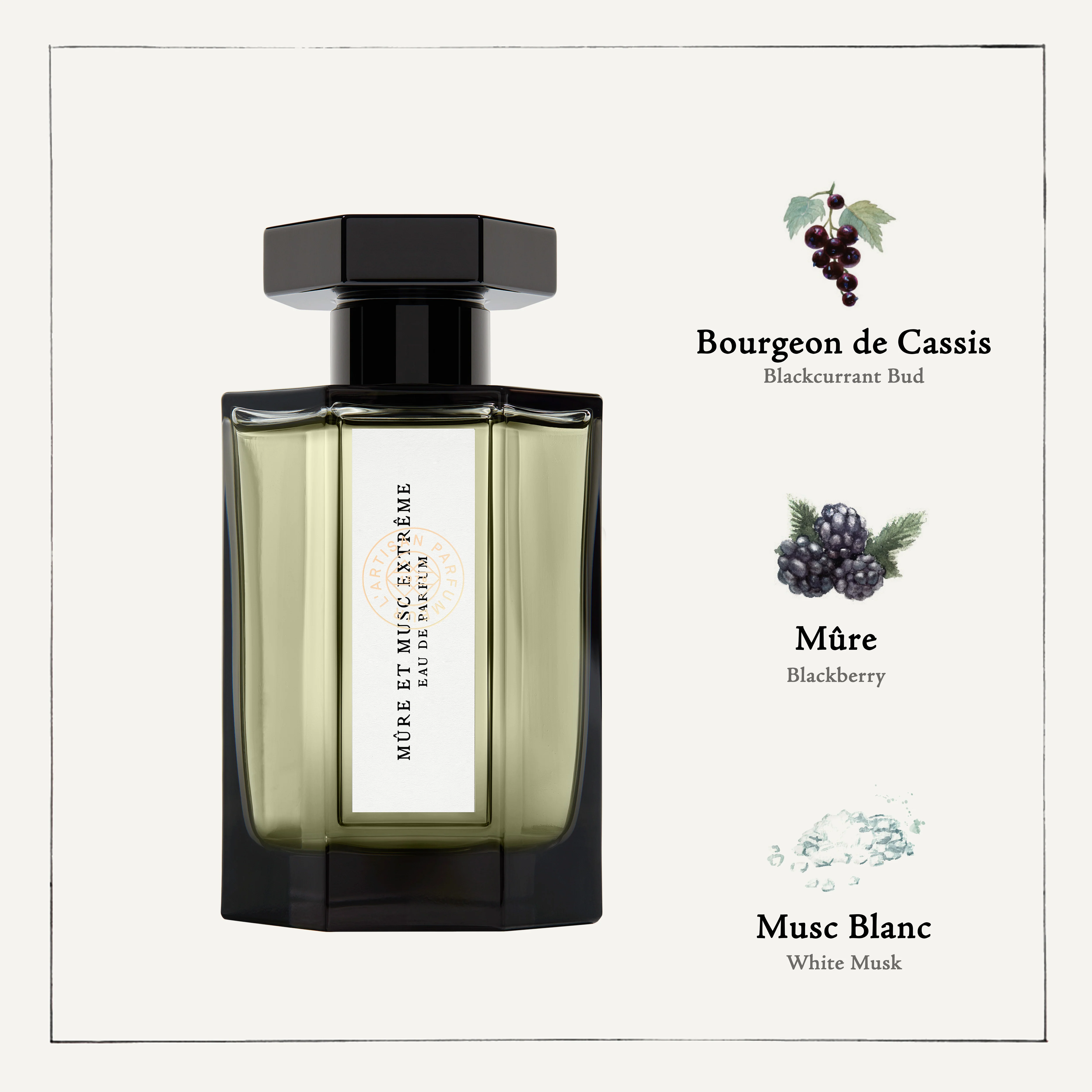 Mûre et Musc Extrême Eau de Parfum - Image 2