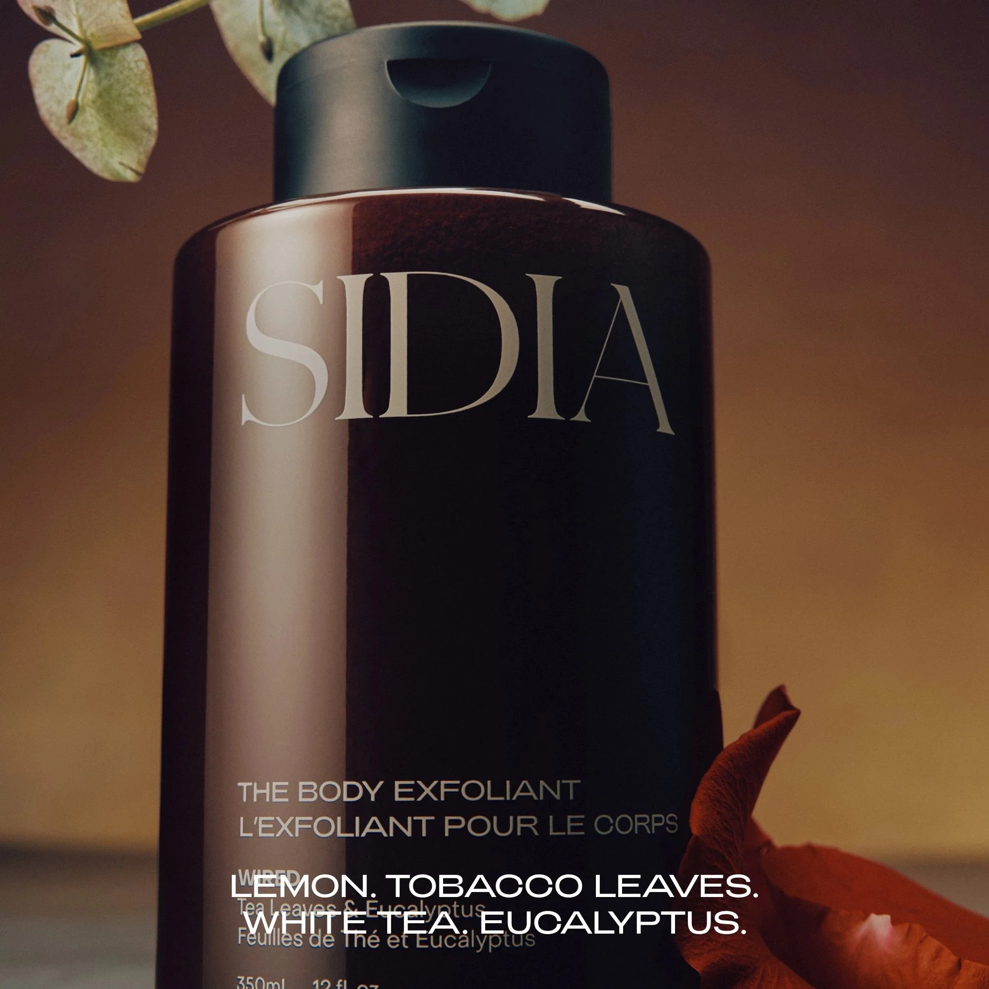 SIDIA Body Exfoliant - Image 8