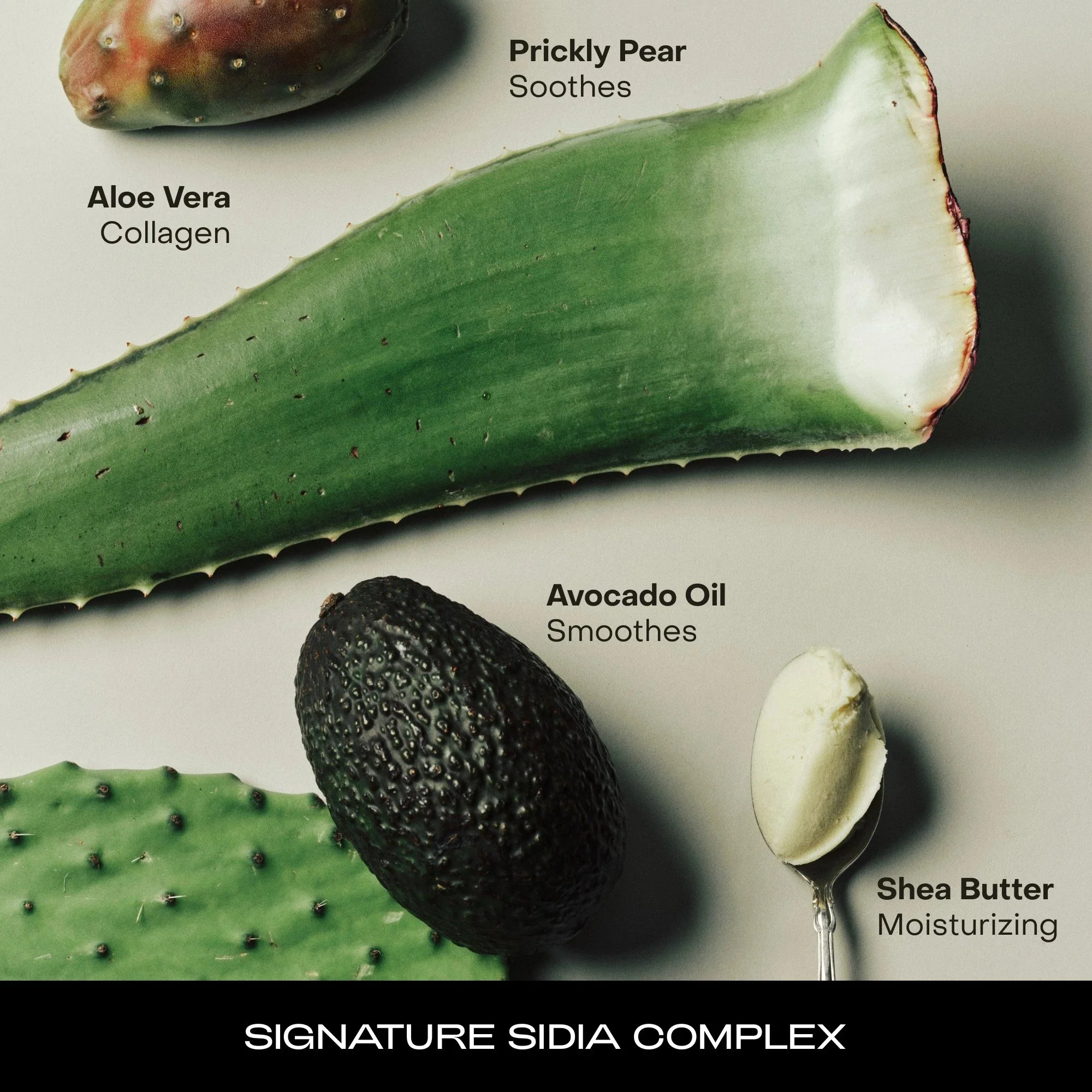 SIDIA Body Serum - Image 10