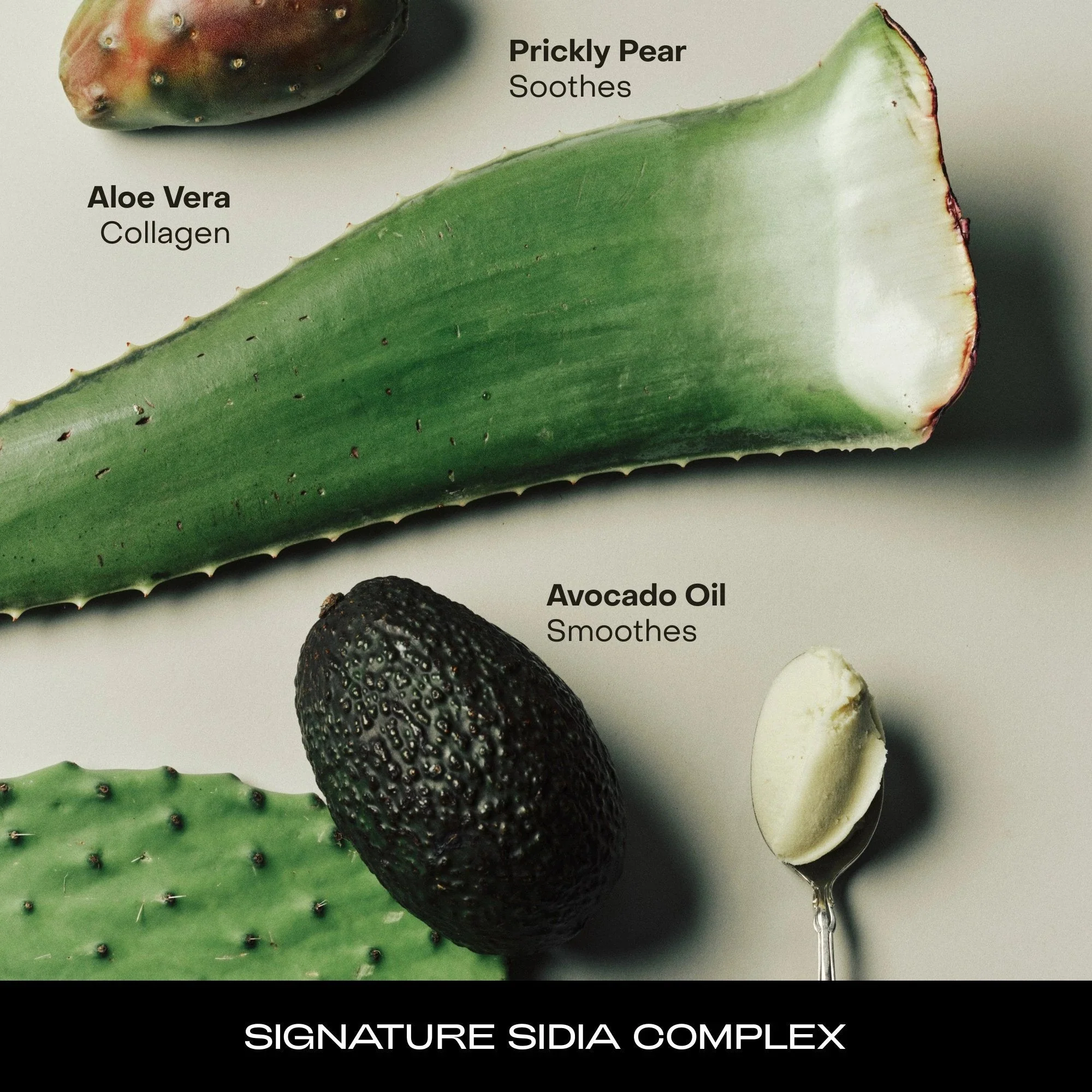 SIDIA Hand Serum - Image 9